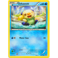 Oshawott - 30/114 - XY Steam Siege Thumb Nail