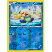 Oshawott - 30/114 (Reverse Foil) - XY Steam Siege Thumb Nail