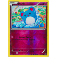 Marill - 76/114 (Reverse Foil) - XY Steam Siege Thumb Nail