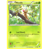 Weedle - 3/146 - XY Thumb Nail