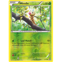 Weedle - 3/146 (Reverse Foil) - XY Thumb Nail