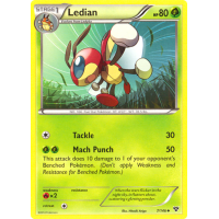 Ledian - 7/146 - XY Thumb Nail