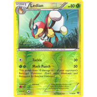 Ledian - 7/146 (Reverse Foil) - XY Thumb Nail