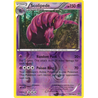 Scolipede - 53/146 (Reverse Foil) - XY Thumb Nail