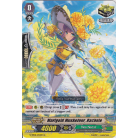 Marigold Musketeer, Rachele - Awakening Zoo Thumb Nail