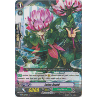 Lotus Druid - Brilliant Strike Thumb Nail