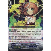 PRISM-Promise, Labrador - Dazzling Divas Thumb Nail