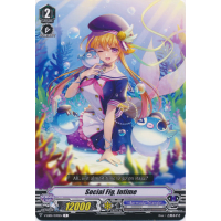 Social Fig, Intime - Primary Melody Thumb Nail