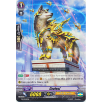 Coolgal - Promo Thumb Nail