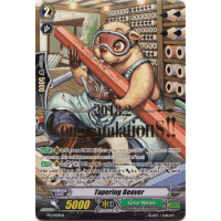 Tapering Beaver (Hot Stamp) - Promo Thumb Nail