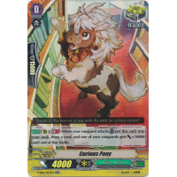 Curious Pony - Special Series Premium Collection 2019 Thumb Nail