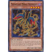 Predaplant Moray Nepenthes - 2017 Mega-Tins Thumb Nail