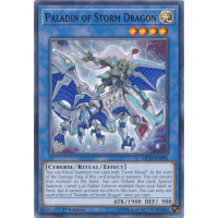 Paladin of Storm Dragon - 2019 Gold Sarcophagus Tin Thumb Nail