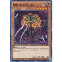 Ibicella Lutea - 2021 Tin of Ancient Battles Thumb Nail