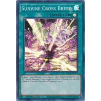 Sunvine Cross Breed - 2022 Tin of the Pharaoh's Gods Thumb Nail