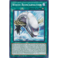 White Reincarnation - 2025 Mega-Pack Bundle Thumb Nail