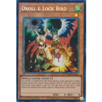 Droll & Lock Bird (Collector's Rare) - 25th Anniversary Rarity Collection II Thumb Nail