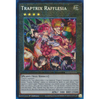 Traptrix Rafflesia (Collector's Rare) - 25th Anniversary Rarity Collection II Thumb Nail