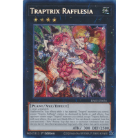 Traptrix Rafflesia (Secret Rare) - 25th Anniversary Rarity Collection II Thumb Nail