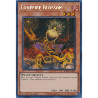 Lonefire Blossom (Secret Rare) - 25th Anniversary Rarity Collection Thumb Nail
