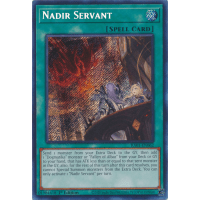 Nadir Servant (Secret Rare) - 25th Anniversary Rarity Collection Thumb Nail