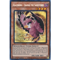 Blackwing - Shamal the Sandstorm - 25th Anniversary Tin - Dueling Heroes Thumb Nail