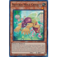 Naturia Mole Cricket - 25th Anniversary Tin - Dueling Heroes Thumb Nail