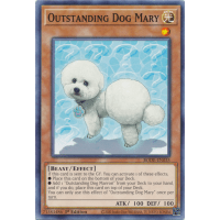 Outstanding Dog Mary - Burst of Destiny Thumb Nail