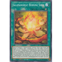Salamangreat Burning Shell - Chaos Impact Thumb Nail