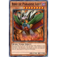 Bird of Paradise Lost - Clash of Rebellions Thumb Nail