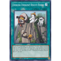 Emerging Emergency Rescute Rescue - Code of the Duelist Thumb Nail