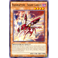 Raidraptor - Sharp Lanius - Crossed Souls Thumb Nail