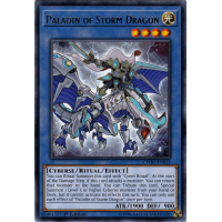 Paladin of Storm Dragon - Cybernetic Horizon Thumb Nail