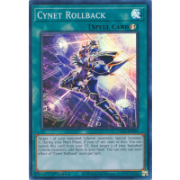 Cynet Rollback - Cyberstorm Access Thumb Nail