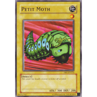 Petit Moth - Dark Beginning 1 Thumb Nail