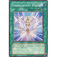 Transcendent Wings - Dark Revelations 4 Thumb Nail