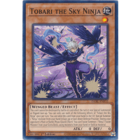 Tobari the Sky Ninja - Darkwing Blast Thumb Nail