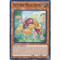 Naturia Mole Cricket - Darkwing Blast Thumb Nail