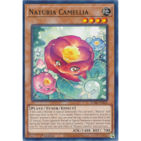 Naturia Camellia - Darkwing Blast Thumb Nail