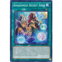 Amazoness Secret Arts - Darkwing Blast Thumb Nail