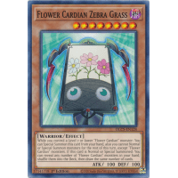 Flower Cardian Zebra Grass - Dragons of Legend: The Complete Series Thumb Nail