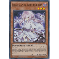 Ghost Reaper Winter Cherries