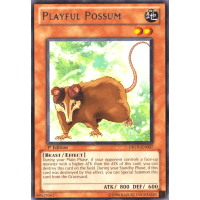 Playful Possum - Duelist Revolution Thumb Nail