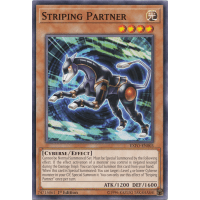 Striping Partner - Extreme Force Thumb Nail