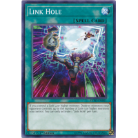 Link Hole - Extreme Force Thumb Nail