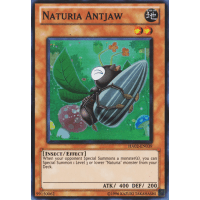 Naturia Antjaw - Hidden Arsenal 2 Thumb Nail