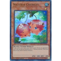 Naturia Cherries - Hidden Arsenal: Chapter 1 Thumb Nail