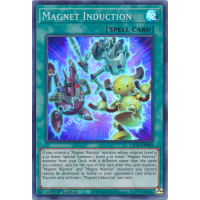 Magnet Induction - King's Court Thumb Nail