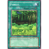 Forest - Legend of Blue Eyes White Dragon Thumb Nail