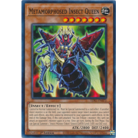 Metamorphosed Insect Queen - Legendary Duelists: Season 1 Thumb Nail